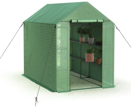 Sundale Outdoor Kits de invernadero para construir para el exterior del invierno, invernaderos desplegables con estantes, 244 x 142 x 190 cm, invernadero portátil con cremallera, alto con puertas