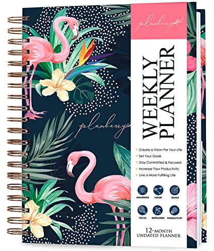 PLANBERRY Großer Wochenplaner, Premium, undatierter Lebens- und Budgetplaner, Organizer und Produktivitäts-Tagebuch, 20,3 x 26,7 cm (Rose Flamingo)