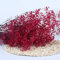 YIWOYI Fleurs séchées naturelles, bouquet de gypsophiles paniculées pour fête de mariage, décoration de la maison (rose et rouge, 30 à 40 cm, 30 g)