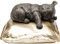 Kare Design Deko Figur Koala, Grau/Gold, Handbemalt, Unikat, Deko Objekt fürs Wohnzimmer, für Regale, Tier Design, Schlafzimmerdekoration, 20x35x35 cm (H/B/T)