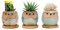FORAGIFT Owl Succulent Pots, 6CM Cute Owl Cactus Pots Animal Small Plant Pot with Drain Hole and Bamboo Tray, and Great for Home Office Decor, Set of 3 (Plants Not Included)