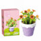 LOTOLO Mini Flower Succulent Bonsai Building Block Set,Simulation Pot Plant Artificial Particle Flower Botanical Collection Construction Building Bricks Toy,Home Decors (Daisy)