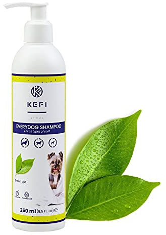 KEFI animals Everydog Hundeshampoo mit Frische Grünem Tee Duft, Neutraler pH-Wert, Fellpflege Mit Lanolin, Spendet der Haut Feuchtigkeit, Flasche mit Spender, 250 ml