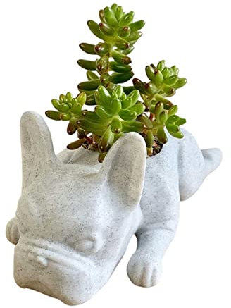 Fioriera rialzata per giardino in resina per cani e piante grasse, mini cuccioli, fioriera a forma di bulldog francesi, carino, bonsai, per casa, giardino, ufficio, scrivania, vaso decorativo per