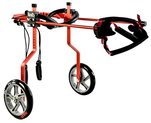 KJHYYPP Hunde-Hinterbein-Kinderwagen, Verstellbarer Haustier-Rollstuhl, postoperative Reparatur für gelähmte Katzen, Kaninchen und andere Tiere