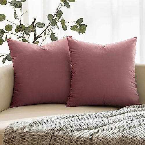 ANRODUO Lot de 2 housses de coussin décoratives en velours - Motif rose poudré - Housses de coussin euro, douces, unies et confortables - Pour canapé, lit et salon, 40,6 x 40,6 cm