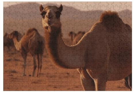 300 PCS Jigsaw Puzzles Camel Walking Puzzles Personalized Puzzle Wooden Picture Puzzle for Adults Photo Puzzle Art Wall Hanging Decor for Birthday Wedding Valentine's Day Anniversary