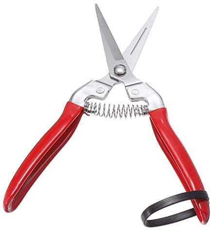MRKU Forbici da potatura Forbici da Giardino Tagliaerba Forbici per Raccogliere la Frutta Forbici da Giardinaggio Bonsai Forbici da potatura Forbici da potatura in Acciaio Inossidabile