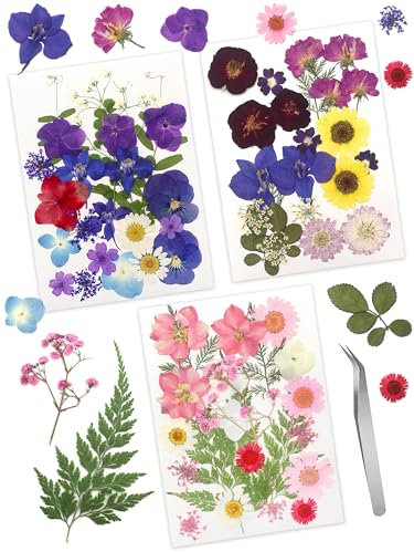 Cinvo 68 Stück echte, getrocknete gepresste Blumen und Blätter, natürlich getrocknete Blütenblätter, Grün, mit Pinzette für Kerzen, Schmuck, Seife, Nagelanhänger, Handyhülle, Basteln,