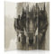 Feeby Paravent Tiere Wolf Natur Wald 145x180 cm 4 Teilig Modern Design einseitig Raumteiler Wandschirme Foto Trennwand Raumtrenner Sichtschutz Spanische Wand auf Leinwand Bedruckt Bäume Augen Grau