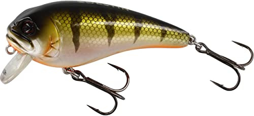 Westin Fat Bite Floating - Wobbler zum Spinnfischen, Crankbait für Barsch, Hecht & Forelle, Spinnköder für Raubfische, Barschköder