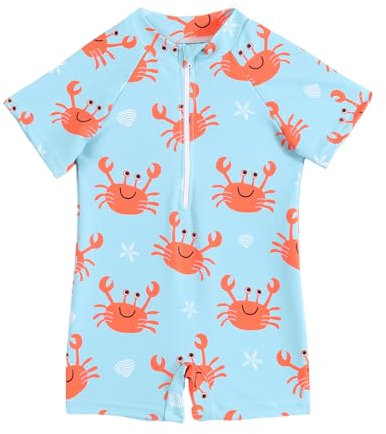 LYZOURBB Baby Boy One-Piece Swimsuit Toddler Boy Short Sleeve Zipper Rash Guard Set Swimming Outfits Bathing Suit for 0-3Years