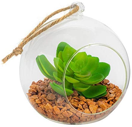 Terrario de vidrio planta de interior con cuerda que cuelga de la vendimia - 12cm
