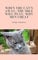When the cat’s away, the mice will play, Why men cheat: Cheating
