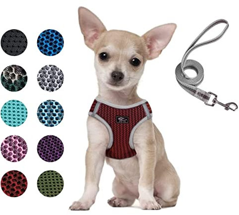 Hundegeschirr Set mit Leine für kleine Hunde - Brustgeschirr ausbruchsicheres Katzengeschirr Welpengeschirr Step-In Geschirr für kleine Hunde, Welpen, Katzen XS Rot