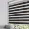 Grandekor Zebra-Jalousien für Fenster, horizontale Rollos, durchscheinende Jalousien für Fenster, Lichtfilterung, Privatsphäre für Tag und Nacht, für Küche, Badezimmer, 63.5x183.9 cm, schwarz