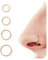 BodyBonita 4 Stück 18G 316L Edelstahl Nasenpiercing Ring Helix Piercings Septum Klicker Nasenring Reifen Knorpel Conch Rook Tragus Ohrringe Piercing Schmuck Hypoallergen für Frauen Männer Roségold
