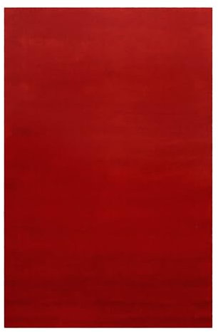 Homie Living Vielseitiger Kurzflor Wolle Teppich flexibel einsetzbar in Allen Räumen - Campino (140 x 200 cm, rot)