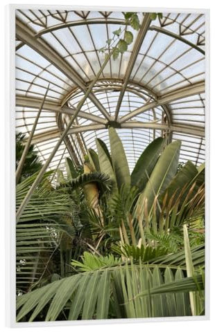 artboxONE Poster mit weißem Rahmen 90x60 cm Reise KEW Botanischer Garten - Bild Vereinigtes königreich