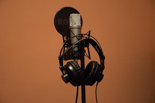 microphone-300 Jeux de Puzzles en Bois pour Les familles : Une variété de Jeux de Puzzle pour développer Les compétences (14 Ans+)