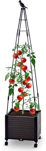 Gartenwelt Riegelsberger Jardinière sur roulettes avec tuteur en forme de pyramide, dimensions totales : 41 x 30 x 160 cm, pour plantes grimpantes, tomates
