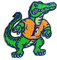 Florida Gators Stehender Fußball Sport Patch Logo Stickerei Bügelbild Aufnähen