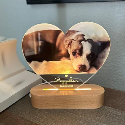 Pahdecor Personalisierbares Acryl-Herz-Nachtlicht, Katzen-Hund, Gedenk-Ornament, personalisiertes Haustier-Gedenkgeschenk, Acryl-Tier-Bilderrahmen, LED-Schild, Tischdekoration, Andenken für