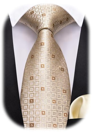 Barry.Wang Karierte Krawatten für Herren, Seidenkrawatte und Krawattenklammer, kariert, für Hochzeit, Party, Business, formelle Anlässe, Beige, Einheitsgröße