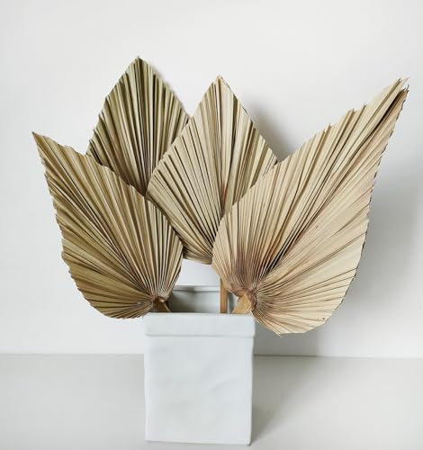 Natural Large Dried Palm Leaves, 4 Pieces Different Shape Dried Palm Fans, 45 cm Dried Palm Spears, Real Plants Palm Leaves, Dried Flower Bouquet for Boho Office Home Wedding Decor