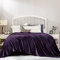 BEDSURE Kuscheldecke Flauschig Decke Fleecedecke - Wohndecke Warm Winter Weich, Sofadecke XXL, Decke Couch Blanket, Wohn- & Kuscheldecken Große 220x240cm, Sofa überwurfdecke Violett