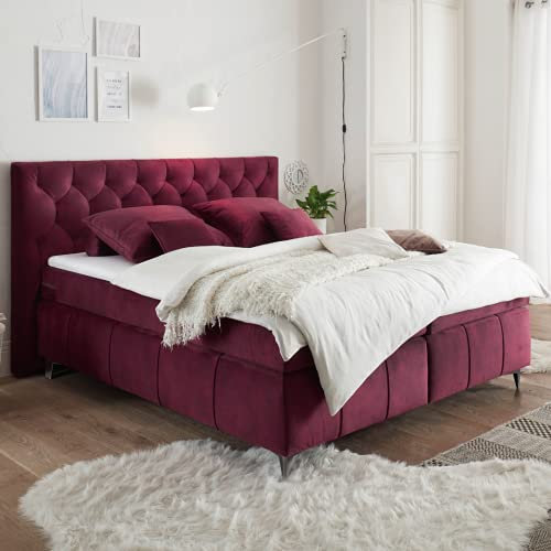 Designer Boxspringbett Boxspringbett 180x200 cm | Sophia - Grau | Wasserabweisend| Härtegrad bis 130 KG | 7-Zonen-Tonnentaschenfederkern Deluxe Matratzen | Komfort Topper 6 cm mit Klimaband (Burgund)