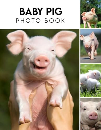 Baby Pig Photography Book: An 2024 Animals Photography Book Fantastic Photobook For All Ages With 30+ High Quality Images Fantastic Picture Book Birthday, Christmas Gifts Idea For All Ages