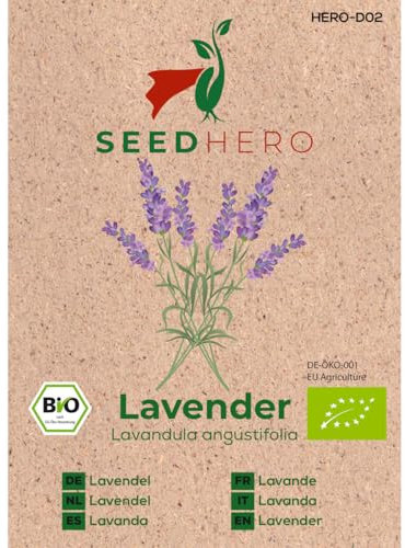 Seedhero BIO Lavendel Echter Samen