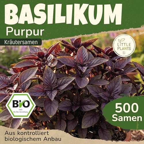 Little Plants BIO Basilikum Violett Samen 500 Basilikumsamen Kräutersamen Samenfest für Kräutergarten Kräuter Samen Küchenkräuter für Küche, Balkon und Garten