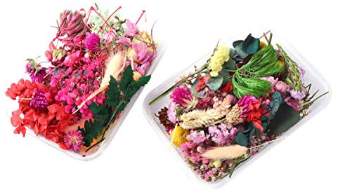 Healifty 2 Boxen natürlich getrocknete Blumen, echte gemischte gepresste Blumen, Stiel, DIY-Arrangement für Kunst, Basteln, Kerzen, Scrapbooking, zufällige Farbe