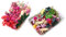 Healifty 2 Boxen natürlich getrocknete Blumen, echte gemischte gepresste Blumen, Stiel, DIY-Arrangement für Kunst, Basteln, Kerzen, Scrapbooking, zufällige Farbe