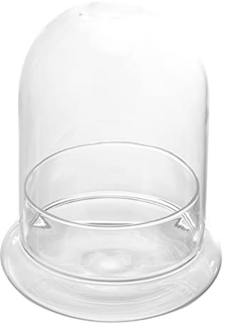 Angoily Verre Cloche Bell JAR avec Base Terrarium Verre Cloche Terrarium Afficher La de pour Plantes Succulents Fairy Lights Décoration de La Maison
