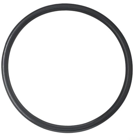 SPX0580Z2 Joint d'étanchéité pour éclairage de piscine