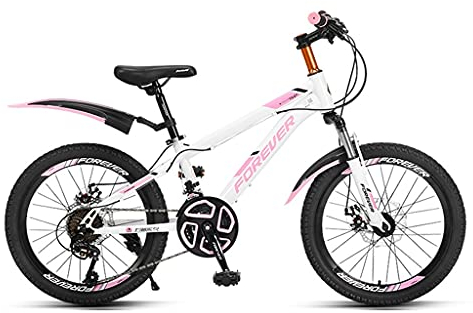 24-Gang-Fahrrad, 20/22 Zoll Hardtail Mountainbikes mit Verstellbarem Sitzkissen, für Männer und Frauen (Color : Pink, Size : 20in)