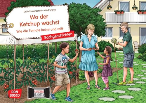 Wo der Ketchup wächst. Wie die Tomate keimt und reift. Kamishibai Bildkartenset: Gärtnern mit Kindern: Tomatenpflanzen pflegen für Kinder ab 4 (Sachgeschichten für unser Erzähltheater)