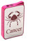 Briquet Signe Astrologie - Cancer