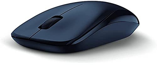 Genius Maus NX-7000 V2, 1200dpi, kabellos, optisch, USB, PC