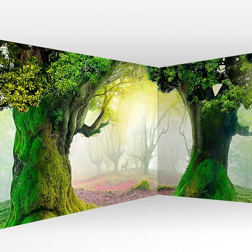 murando - Fototapete selbstklebend Wald Landschaft, 539x250 cm, Wohnzimmer | Selbstklebend ohne Kleister, Full HD Druck, ideal fürs Wohn- oder Schlafzimmer, schnelle Montage, lichtbeständig, geruchsfrei