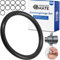 Dichtungsringe Set, 12 Stück, AD Ø 25 mm, ID Ø 21 mm, Dicke 2 mm, in Schwarz, aus Nitril Kautschuk, Gummiringe für Reparatur von Sanitär, Maschinen, Motoren, Dichtungsset Gummi O-Ring, Flachdichtung