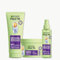 Garnier - Fructis Méthode Boucles - Routine 3 Produits - Shampoing, Masque & Spray Hydratant - Enrichie en Acide Hyaluronique & Beurre de Karité - Pour Tous les Types de Boucles