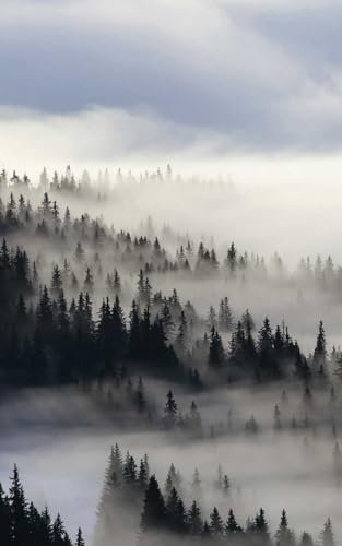HXA DECO Tableau Brume sur la forêt - 50x80cm - made in France
