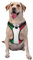 Atmungsaktives und verstellbares Hundegeschirr mit Italienischer Flagge, für große, mittelgroße und kleine Hunde