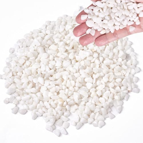 1,0 kg Kieselsteine 0,7-0,9 cm Dekosteine, weiße Steine für Garten, weiße Gartenkiesel, Gartenkiesel, Steine für Blumentöpfe, Gartensteine, Dekosteine für Vasen, Glaskiesel für Vasen