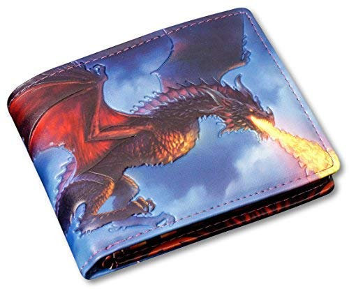 Herren Gothic-Geldbörse mit Drache - Fire from The Sky - geprägt | Fantasy-Geldbeutel, Mehrfarbig