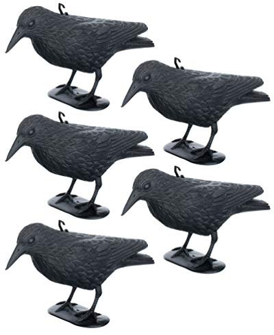 Brandsseller Schwarzer Rabe aus Kunststoff 36 x 20 cm Taubenabwehr Vogelschreck gegen kleine Vögel und Tauben Tierfreundliche Abschreckung - 5 Stück